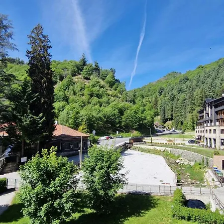 Casa Mia * Луризия